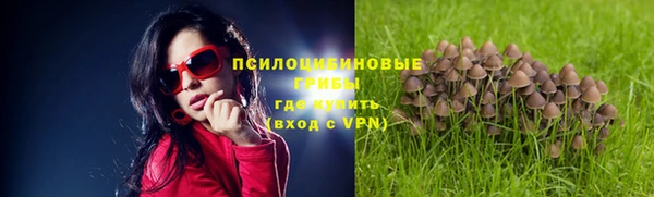 соль курить ск Медвежьегорск