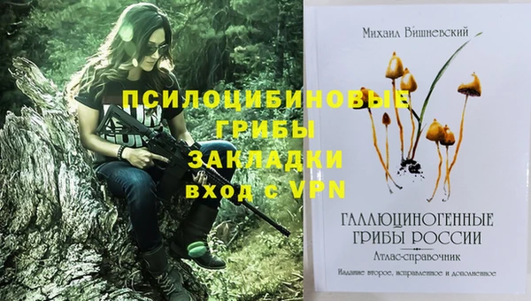дмт Медногорск